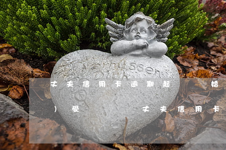 丈夫信用卡逾期起訴離婚后妻子會(huì)受牽連嗎(丈夫信用卡逾期被起訴妻子會(huì)受什么影響)