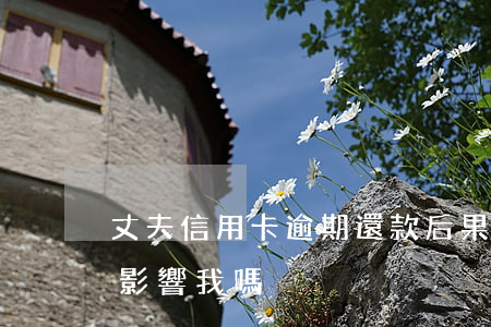 丈夫信用卡逾期還款后果(老公信用卡逾期會影響我嗎)