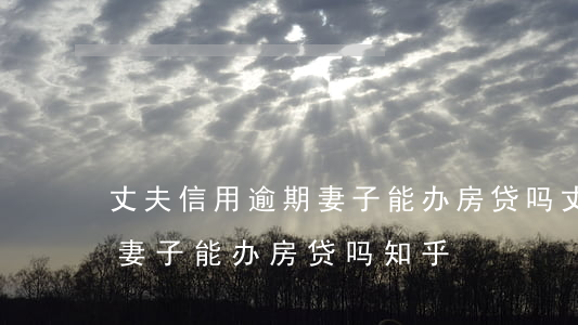 丈夫信用逾期妻子能办房贷吗(丈夫信用逾期妻子能办房贷吗知乎)