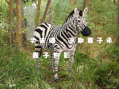 丈夫借貸逾期妻子承擔(dān)(丈夫逾期妻子有影響嗎)