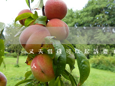 丈夫借錢可以起訴妻子嗎（丈夫借錢追加起訴人）