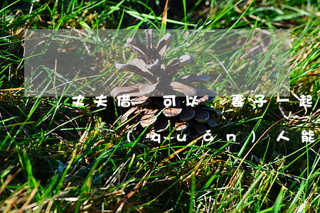 丈夫借錢可以連妻子一起起訴嗎(丈夫借的錢債權(quán)人能起訴配偶嗎)