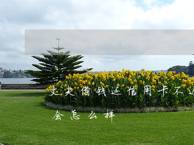丈夫借钱还信用卡不还(妻子信用卡不还,丈夫会怎么样)