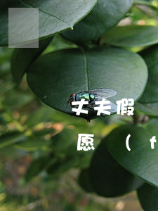 丈夫假離婚不愿復(fù)婚(丈夫假離婚不愿復(fù)婚)