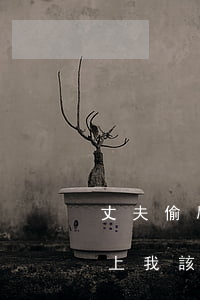 丈夫偷刷妻子信用卡不還(丈夫刷信用卡還不上,我該怎么辦)
