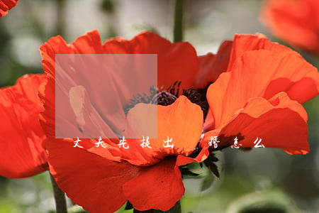 丈夫先提出離婚怎么辦