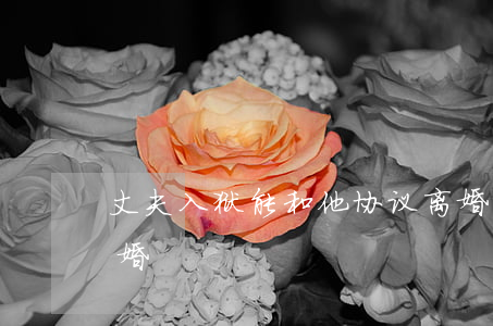 丈夫入狱能和他协议离婚吗(丈夫入狱怎么离婚)