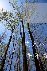 丈夫八年不工作妻子預(yù)離婚(丈夫常年不在家想離婚)