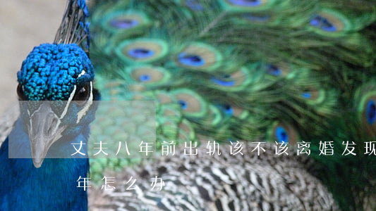 丈夫八年前出轨该不该离婚(发现老公出轨八年怎么办)