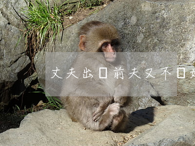 丈夫出軌前夫又不離婚怎么辦