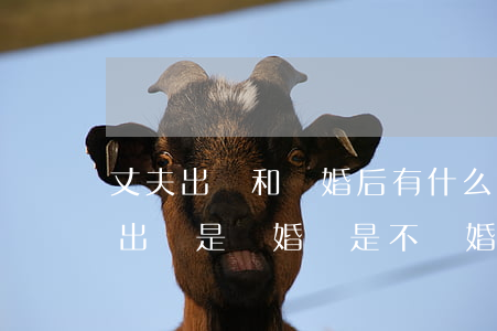 丈夫出軌和離婚后有什么區(qū)別(老公出軌是離婚還是不離婚)