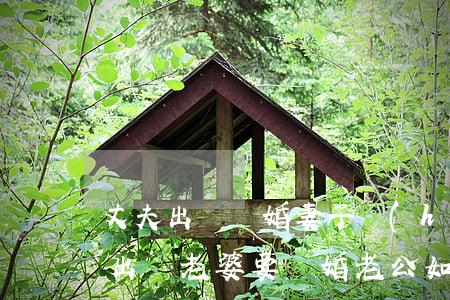 丈夫出軌離婚妻子會(huì)挽回嗎(老公出軌,老婆要離婚,老公如何挽留)