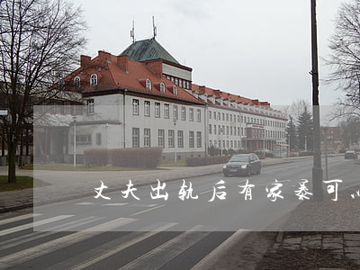 丈夫出轨后有家暴可以离婚吗