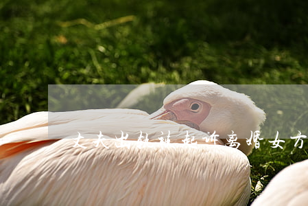 丈夫出轨被起诉离婚女方怎么办