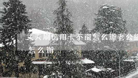 丈夫刷信用卡不還怎么辦(老公總是刷信用卡怎么辦)