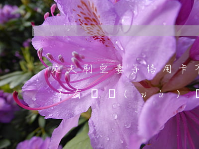 丈夫刷空妻子信用卡不還(丈夫透支信用卡妻子有義務(wù)還嗎?)