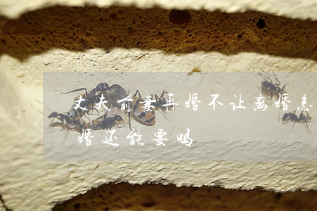 丈夫前妻再婚不让离婚怎么办(前妻再婚又离婚还能要吗)