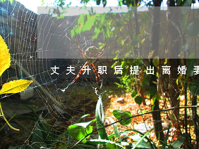 丈夫升职后提出离婚妻子崩溃逼问