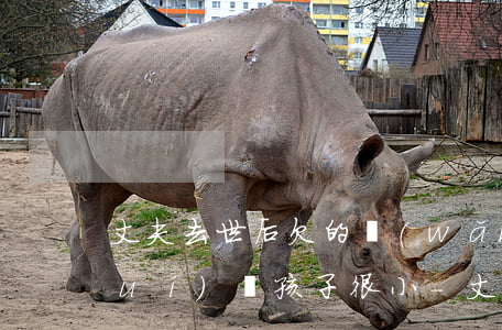 丈夫去世后欠的網(wǎng)貸誰(shuí)還孩子很小-丈夫已過(guò)世欠網(wǎng)貸妻子要還嗎