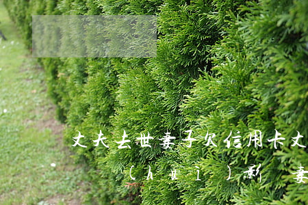 丈夫去世妻子欠信用卡(丈夫死亡后信用卡不還會(huì)影響妻子的征信嗎)