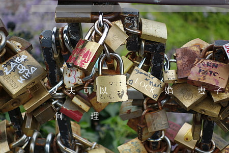 丈夫可以訴訟離婚嗎(妻子向法院起訴離婚如何處理)