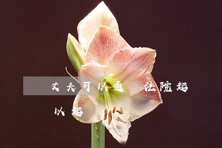 丈夫可以通過法院起訴嗎(如果被老公打了可以起訴嗎)