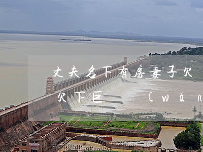 丈夫名下有房妻子欠網(wǎng)貸(妻子欠下巨額網(wǎng)貸)