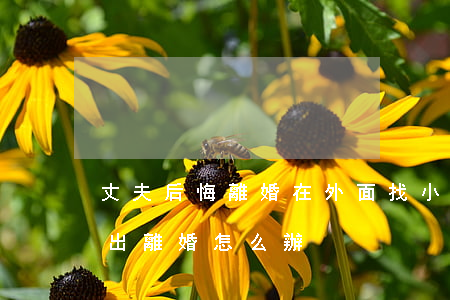 丈夫后悔離婚在外面找小三(老公有小三了提出離婚怎么辦)