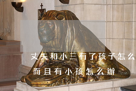 丈夫和小三有了孩子怎么辦(老公外面有小三而且有小孩怎么辦)