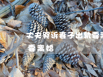 丈夫哭诉妻子出轨要离婚(妻子出轨道歉老公要离婚)