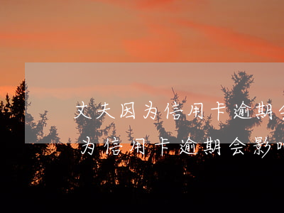 丈夫因为信用卡逾期会影响妻子吗-丈夫因为信用卡逾期会影响妻子吗知乎