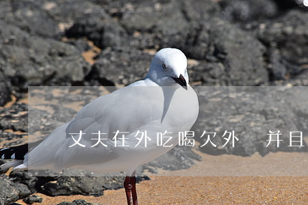 丈夫在外吃喝欠外債并且是網(wǎng)貸