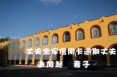 丈夫坐牢信用卡逾期(丈夫坐牢信用卡逾期起訴 追加起訴妻子)