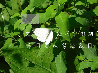 丈夫坐牢信用卡逾期誰來還(丈夫坐牢欠信用卡錢可以等他出來再還嗎)