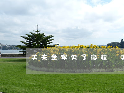 丈夫坐牢欠了微粒貸(丈夫坐牢欠了微粒貸)