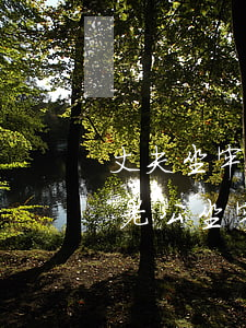 丈夫坐牢起訴離婚需要多少費(fèi)用(老公坐牢起訴離婚需要什么材料)