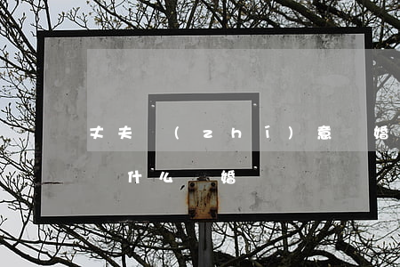 丈夫執(zhí)意離婚的秘密(丈夫的秘密為什么離婚)