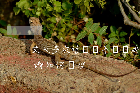 丈夫多次借錢該不該離婚(丈夫借妻子的錢 離婚如何處理)