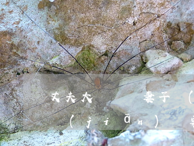 丈夫大聲說話妻子會(huì)離婚嗎(丈夫堅(jiān)決要離婚 妻子一句話)