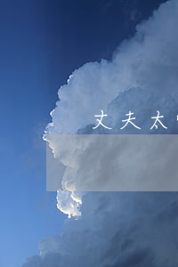 丈夫太懒惰要离婚(妻子太懒导致离婚)