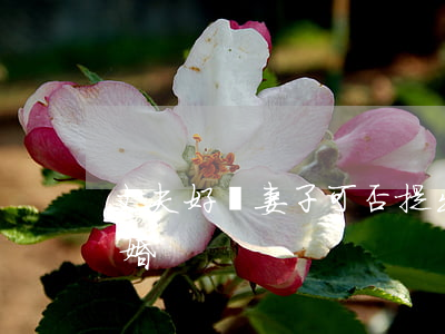 丈夫好賭妻子可否提出離婚(丈夫賭博妻子離婚)
