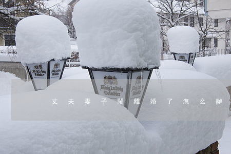 丈夫妻子鬧離婚了怎么辦