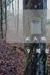 丈夫婚內(nèi)出軌14年贈情人379萬，妻子竟然能全部要回