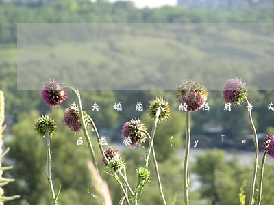 丈夫婚前欠的信用卡(丈夫婚前欠的信用卡,婚后老婆應(yīng)不應(yīng)該幫忙還)
