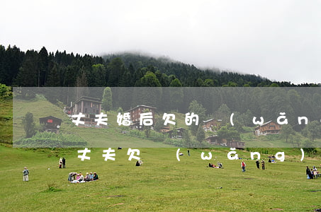 丈夫婚后欠的網(wǎng)貸妻子要還嗎(丈夫欠網(wǎng)貸期間與妻子離婚)