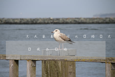 丈夫家暴了可以離婚嗎(丈夫家暴妻子可以怎樣提出離婚)