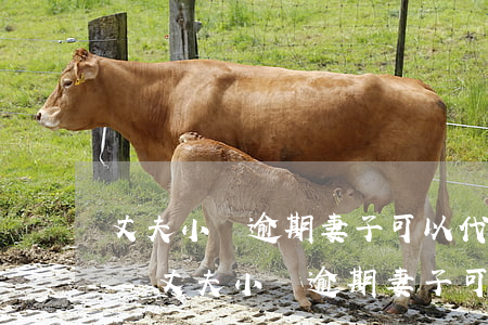 丈夫小貸逾期妻子可以代為協(xié)商-丈夫小貸逾期妻子可以代為協(xié)商還款嗎