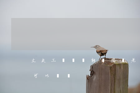 丈夫工傷癱瘓能離婚嗎(老婆殘疾老公想離婚可以離嗎)