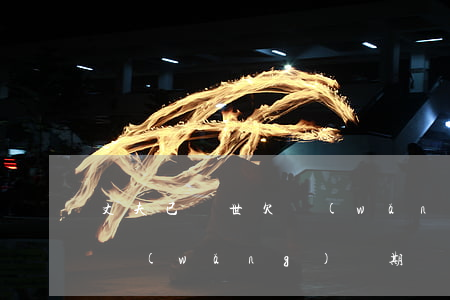 丈夫已過世欠網(wǎng)貸妻子(丈夫欠網(wǎng)貸期間與妻子離婚)
