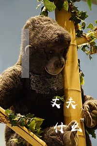 丈夫幾年不回家該怎么辦(老公一直不回家有什么辦法)